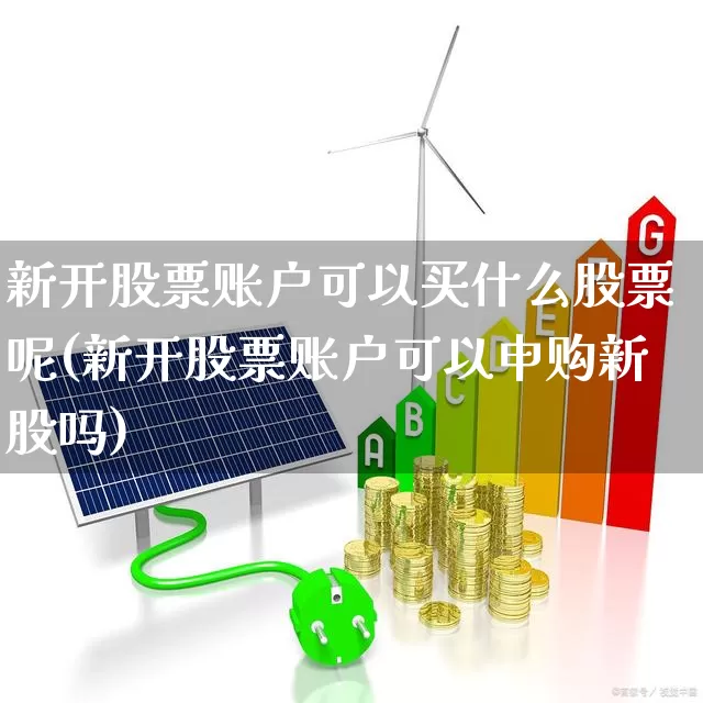 新开股票账户可以买什么股票呢(新开股票账户可以申购新股吗)_https://www.ccit-cctv.com_科创板_第1张