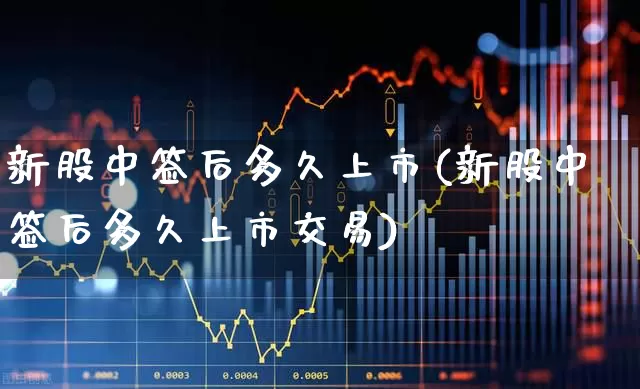新股中签后多久上市(新股中签后多久上市交易)_https://www.ccit-cctv.com_深交所_第1张