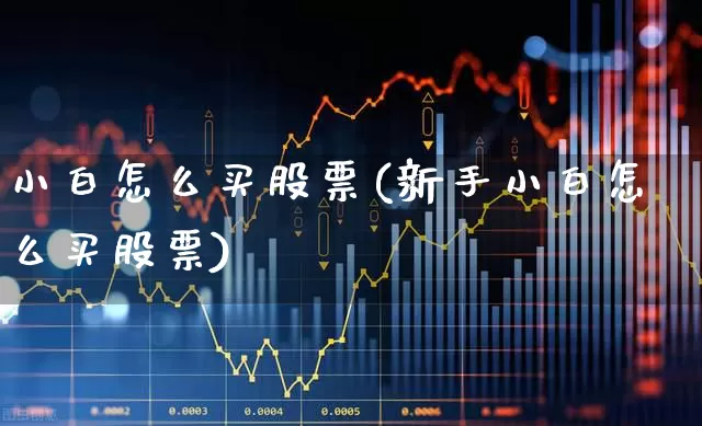 小白怎么买股票(新手小白怎么买股票)_https://www.ccit-cctv.com_科创板_第1张